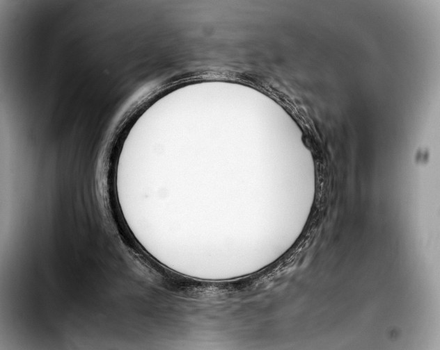 X0000103430197200810101050