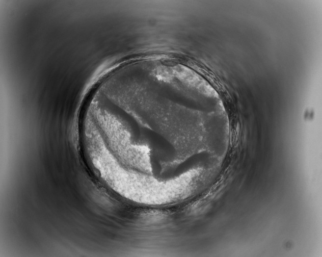 X0000103430198200810101050
