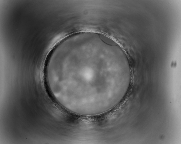 X0000103430199200810101050