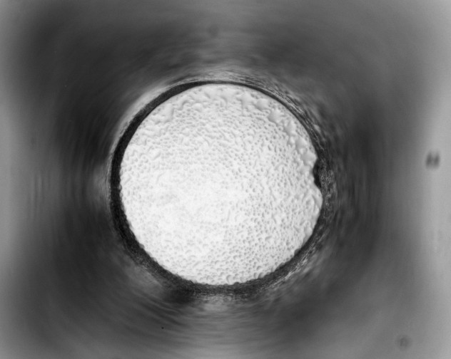 X0000103430200200810101050