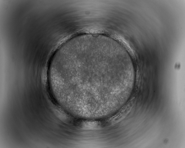 X0000103430202200810101050