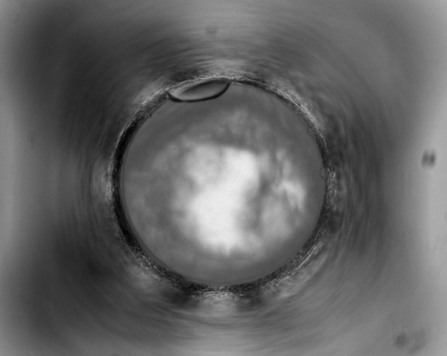 X0000103430203200810101050