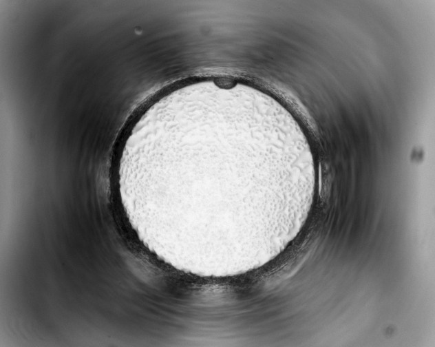 X0000103430204200810101050