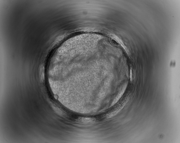 X0000103430205200810101050