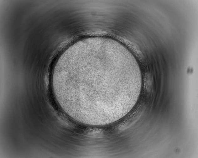 X0000103430206200810101050