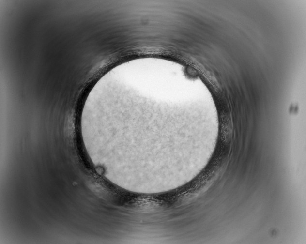 X0000103430207200810101050
