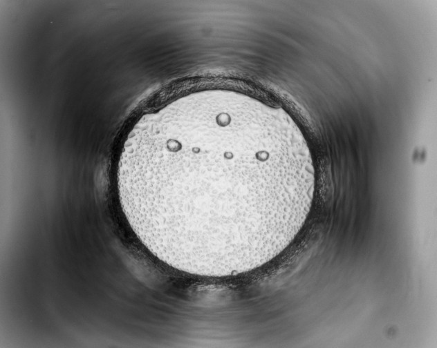 X0000103430208200810101050