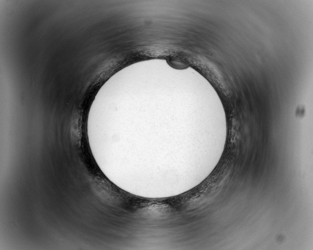 X0000103430210200810101050