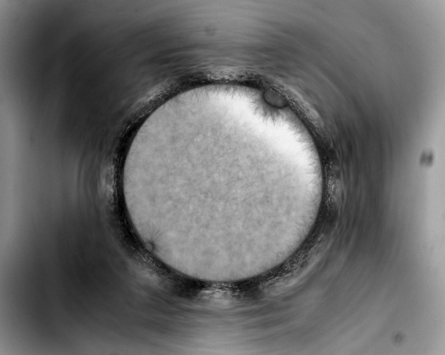 X0000103430211200810101050