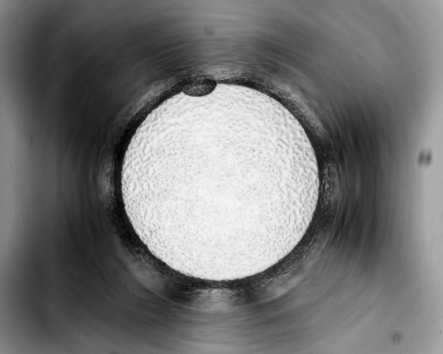 X0000103430212200810101050