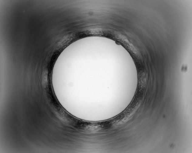 X0000103430213200810101050