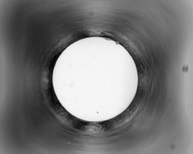 X0000103430215200810101050