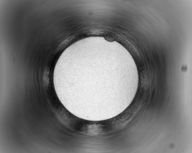X0000103430216200810101050