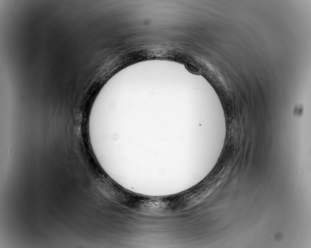 X0000103430217200810101050