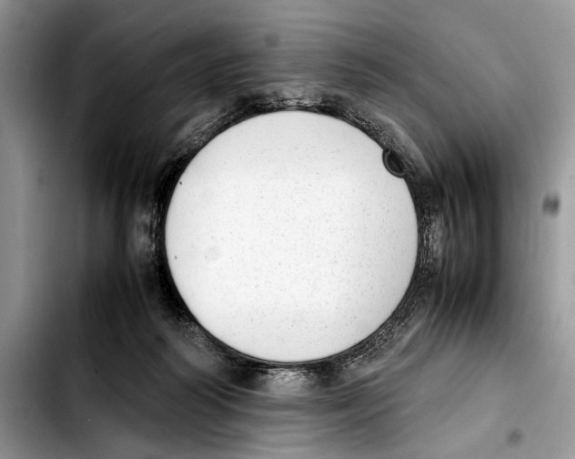 X0000103430218200810101050
