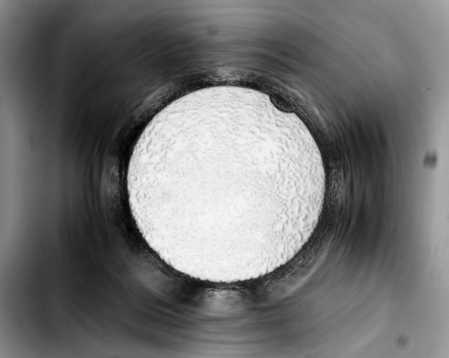 X0000103430220200810101050