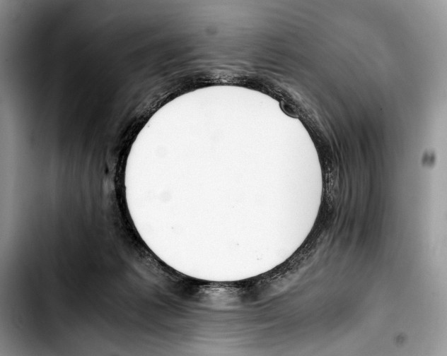 X0000103430221200810101049