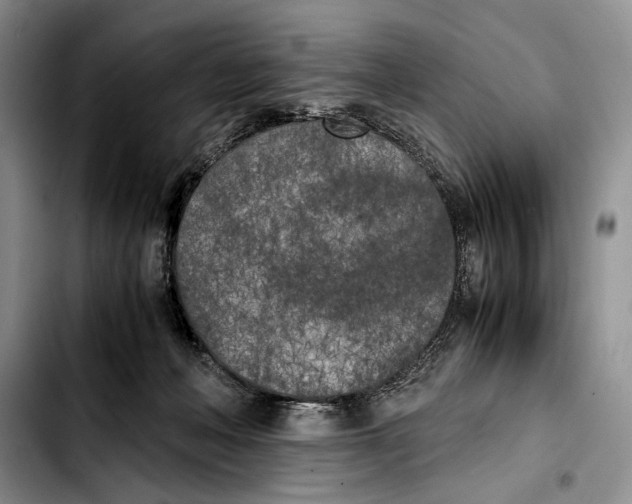X0000103430222200810101049