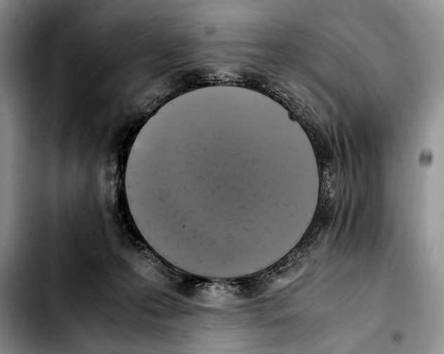 X0000103430223200810101049