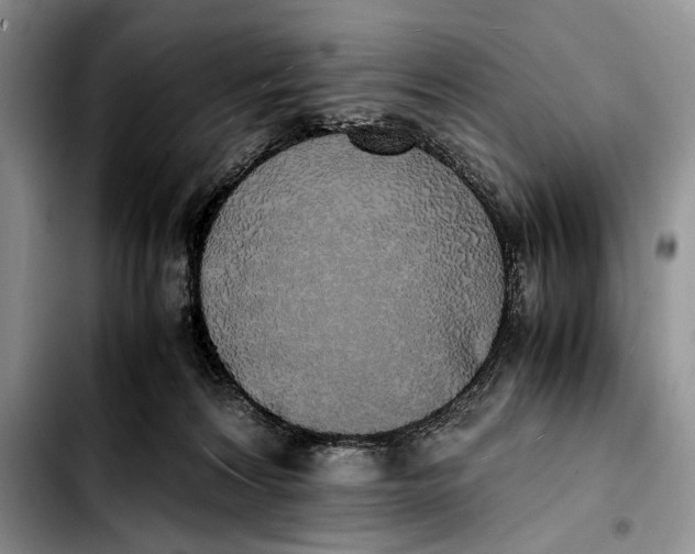 X0000103430224200810101049