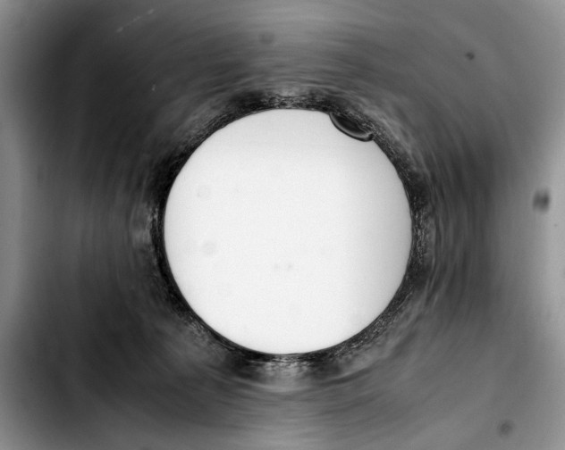 X0000103430225200810101049