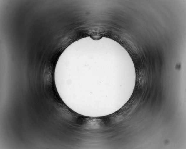 X0000103430226200810101049