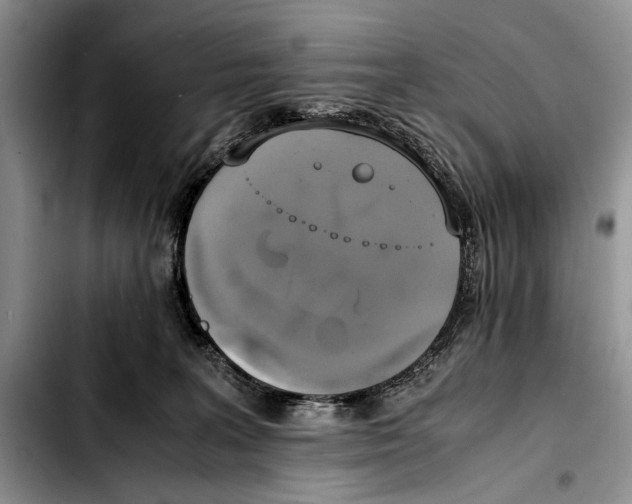 X0000103430227200810101049