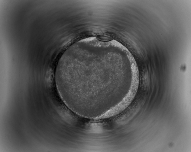 X0000103430228200810101049