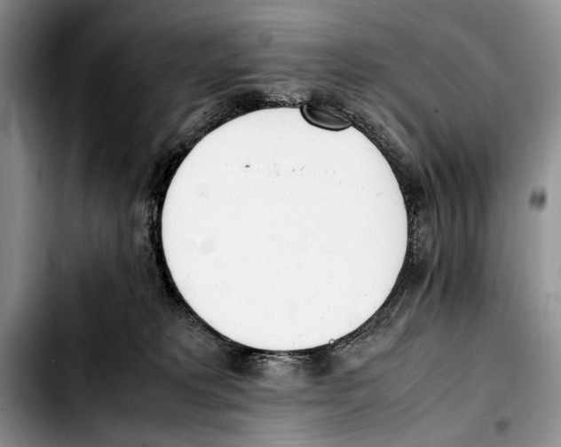 X0000103430229200810101049