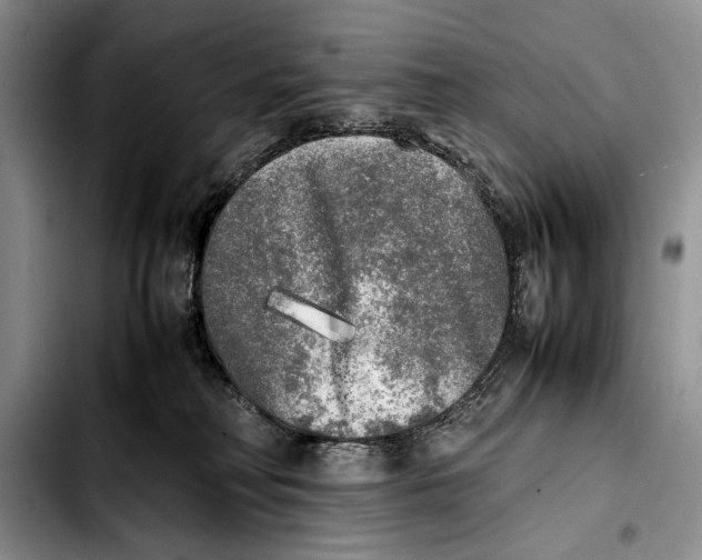 X0000103430230200810101049