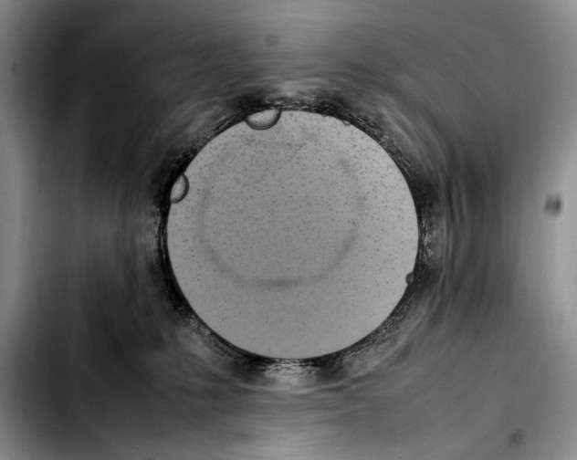 X0000103430231200810101049