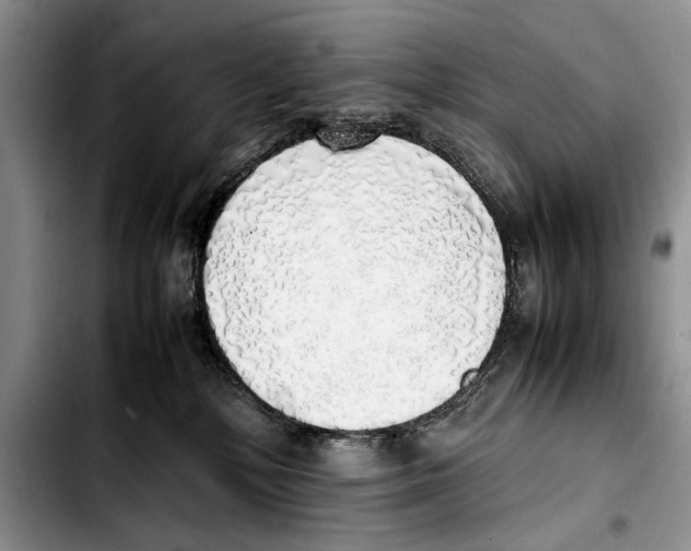 X0000103430232200810101049
