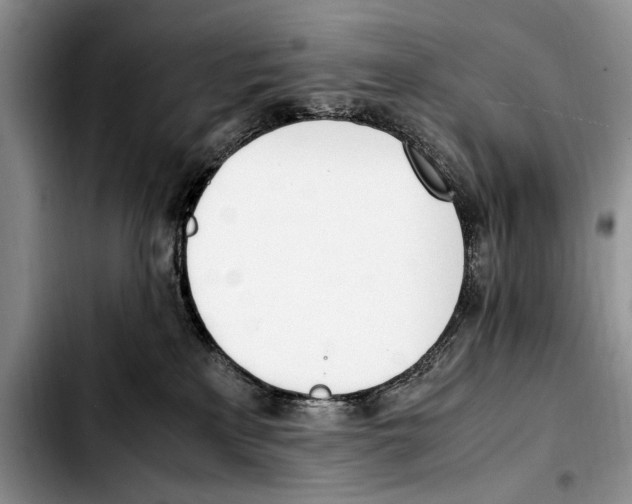 X0000103430233200810101049