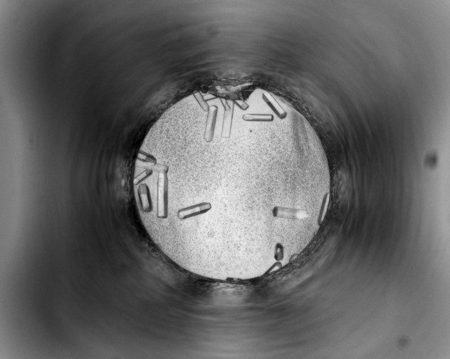 X0000103430234200810101049
