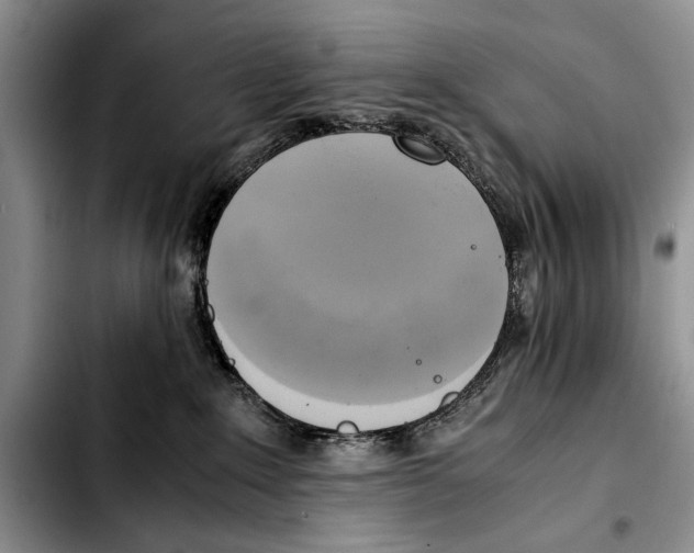 X0000103430235200810101049