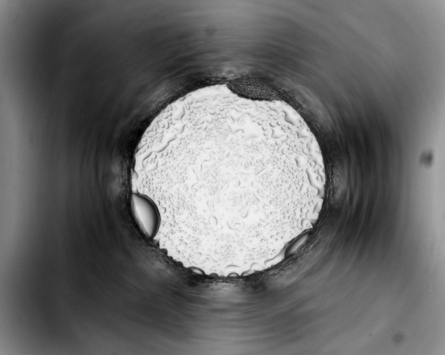 X0000103430236200810101049