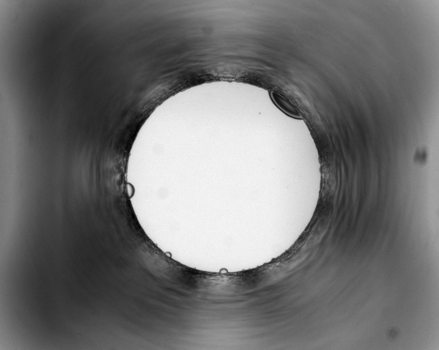 X0000103430237200810101049