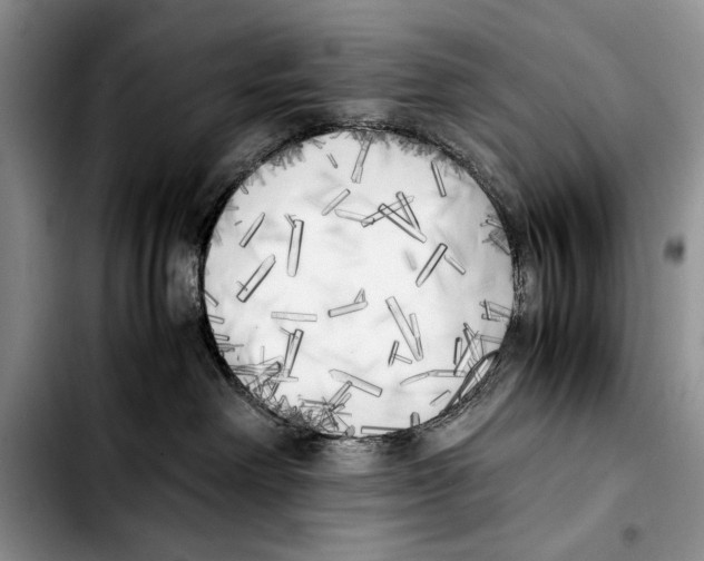 X0000103430238200810101049