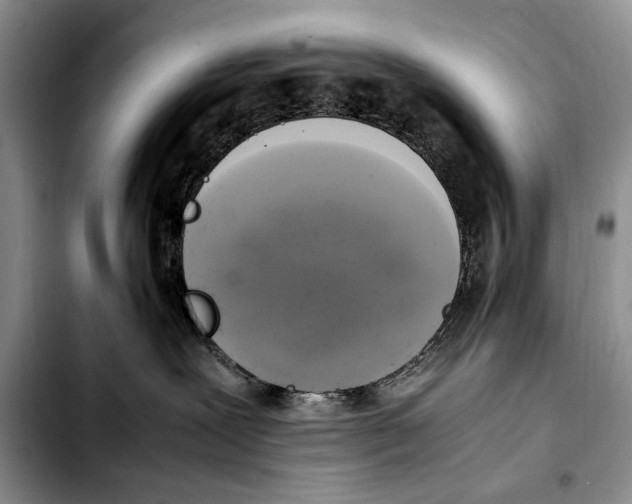 X0000103430239200810101049
