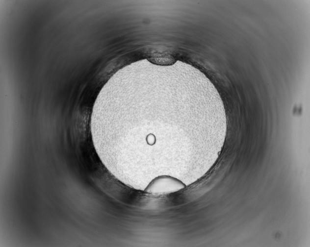 X0000103430240200810101049