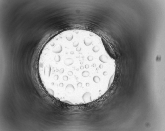 X0000103430241200810101048