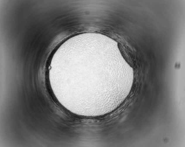 X0000103430242200810101048