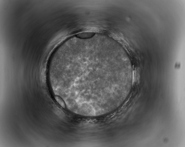 X0000103430243200810101048