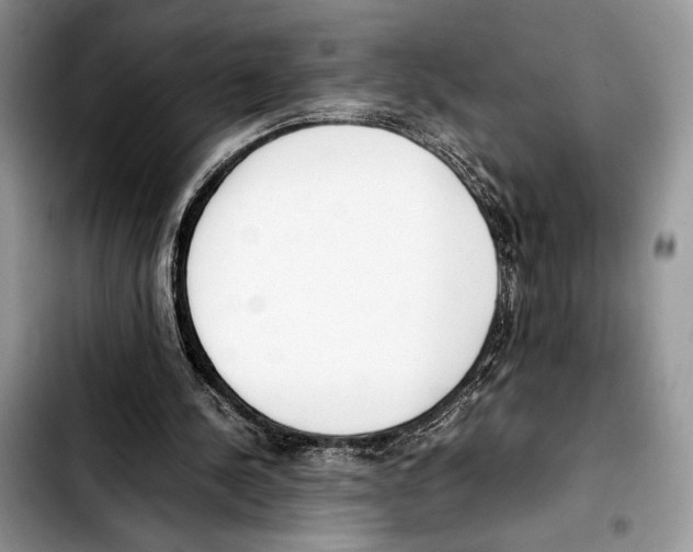 X0000103430244200810101048