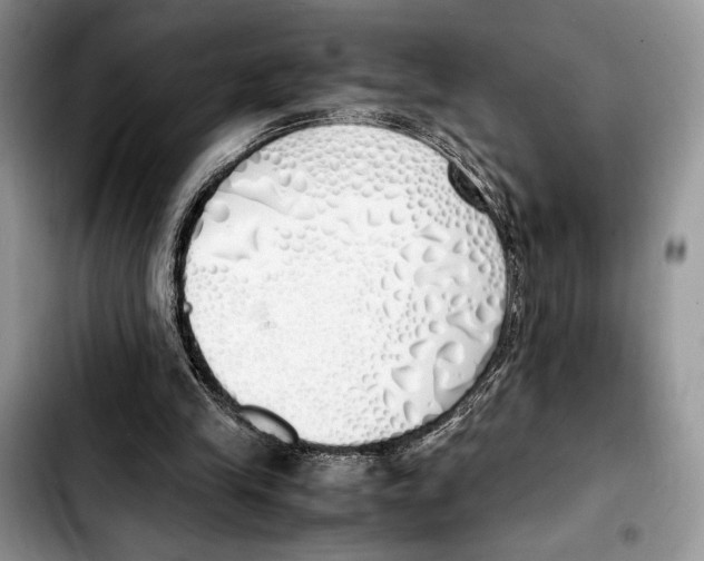 X0000103430245200810101048
