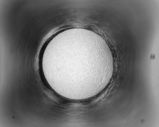 X0000103430246200810101048