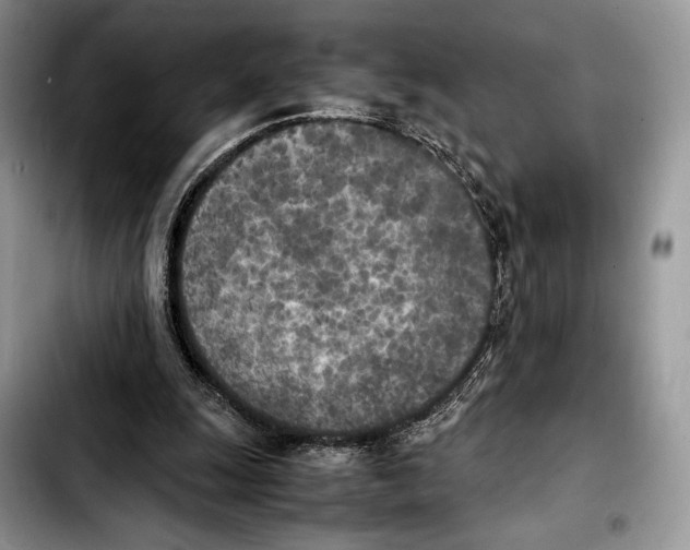 X0000103430247200810101048