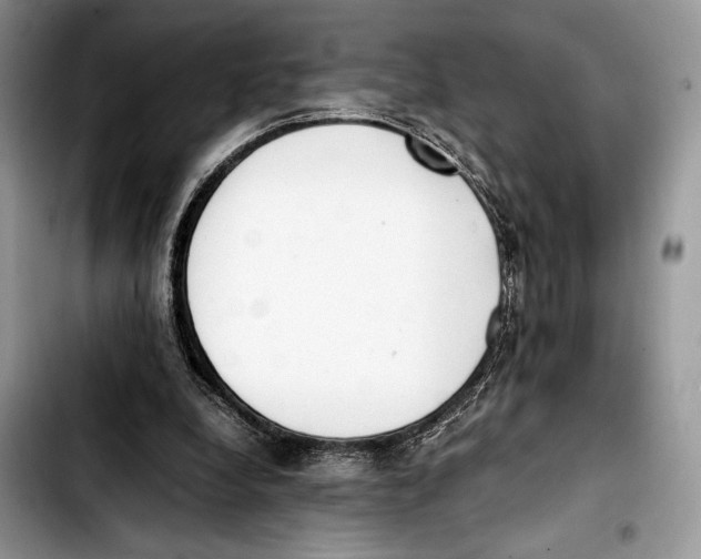 X0000103430248200810101048