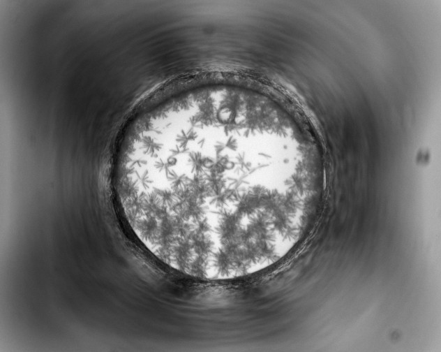 X0000103430249200810101049