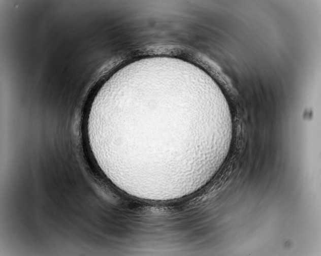 X0000103430250200810101049